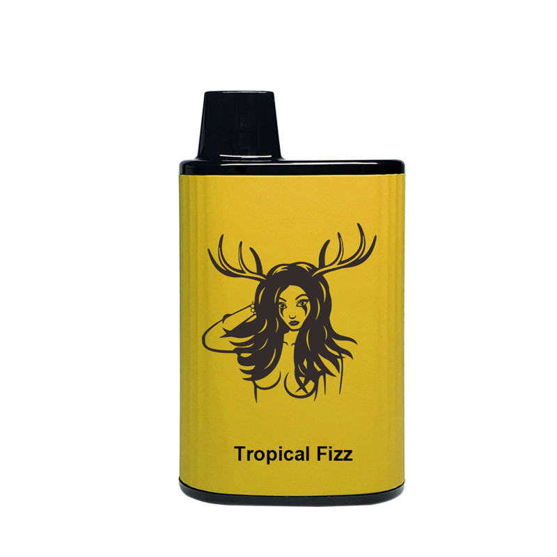 Airflow Adjustable 4000 Puffs Disposable Vape Customized Logo Tropical Fizz Flavor